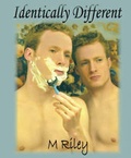 Cover: Identically Different. by M. Riley - Nazca Plains Corporation