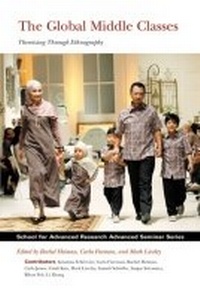 Enlarge image Cover: The Global Middle Classes - SAR Press