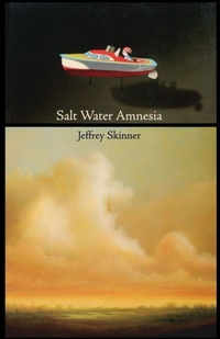 Enlarge image Cover: Salt Water Amnesia - Ausable Press
