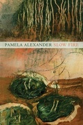 Cover: Slow Fire - Ausable Press