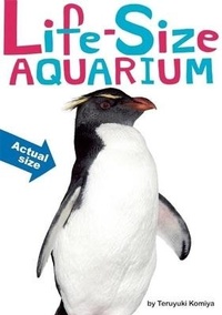 Enlarge image Cover: Life-Size Aquarium - Falls Media