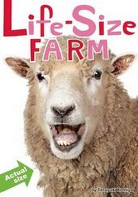 Enlarge image Cover: Life-Size Farm - Falls Media