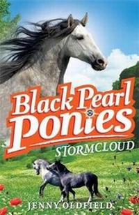 Enlarge image Cover: Stormcloud - Hodder Children's Books