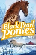 Cover: Black Pearl Ponies: Wildflower - Hodder Children's Books