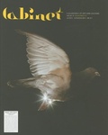 Cover: Cabinet 21: Electricity - Cabinet