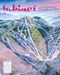 Cover: Cabinet 27: Mountains - Cabinet