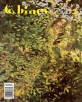 Cover: Cabinet 33: Deception - Cabinet