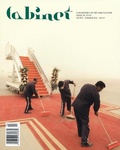 Cover: Cabinet 35: Dust - Cabinet