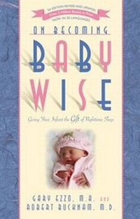 Enlarge image Cover: On Becoming Babywise - Parent-Wise Solutions, Incoporated