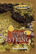 Cover: The Well String - Motes