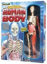 Enlarge image Cover: Squishy Human Body - Smartlab Toys