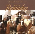 Cover: Best Remudas - Bright Sky Press