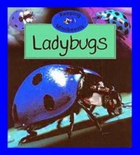 Enlarge image Cover: Ladybugs - Sea to Sea Publications