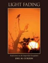 Abbildung von: Light Fading - Peter E. Randall