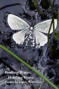 Cover: Finding Water, Holding Stone - Wordtech Communications