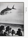 Cover: Ed Van Der Elsken - Sweet Life. Books on Books 13 - Errata Editions