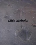 Cover: Cildo Meireles - Tate Publishing & Enterprises
