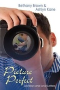 Cover: Picture Perfect - Dreamspinner Press