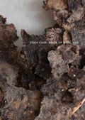 Cover: John Cage Book of Days 2012 - Distributed Art Publishers