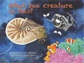 Cover: What Sea Creature is This? - Red Rock Press