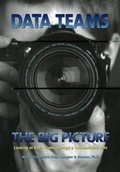 Cover: Data Teams: The Big Picture - Advanced Learning Press