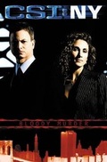 Cover: CSI New York - Idea & Design Works