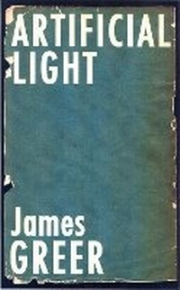 Enlarge image Cover: Artificial Light - Akashic Books,U.S.