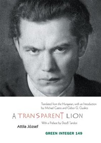 Enlarge image Cover: A Transparent Lion - Green Integer