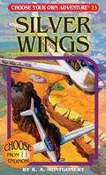 Cover: Silver Wings - Chooseco LLC