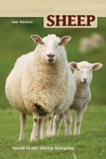 Cover: Sheep - CompanionHouse Books