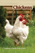 Cover: Chickens, 2nd Edition - CompanionHouse Books