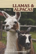 Cover: Llamas and Alpacas - CompanionHouse Books