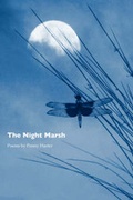 Cover: The Night Marsh - Wordtech Communications