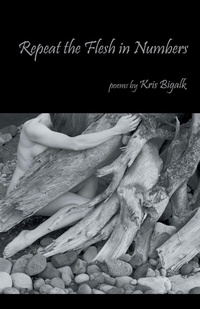 Enlarge image Cover: Repeat the Flesh in Numbers - NYQ Books