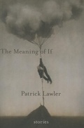 Cover: The Meaning of If - Four Way Books