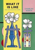 Cover: What It Is Like - Turtle Point Press