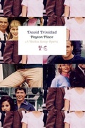 Cover: Peyton Place - Turtle Point Press
