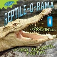 Enlarge image Cover: Reptile-O-Rama - Downtown Bookworks