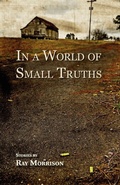Cover: In a World of Small Truths - Press 53