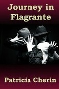 Cover: Journey In Flagrante - Level 4 Press Inc