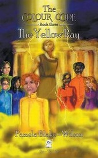 Enlarge image Cover: The Colour Code - Mbs Press