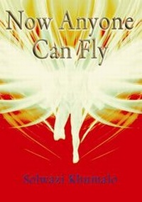 Abbildung von: Now Anyone Can Fly - Zeus Publications