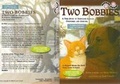 Cover: Two Bobbies - DREAMSCAPE MEDIA