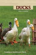 Cover: Ducks - Companion House
