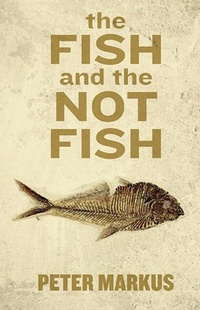 Enlarge image Cover: The Fish and the Not Fish - Dzanc Books