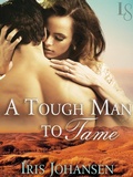 Cover: A Tough Man to Tame - Loveswept