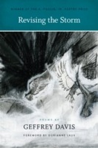 Enlarge image Cover: Revising the Storm - BOA Editions Ltd.