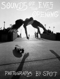 Cover: Sounds of Two Eyes Opening - Sinecure Books
