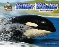 Enlarge image Cover: Killer Whale - Bearport Books
