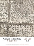 Cover: Canyon in the Body - Zephyr Press